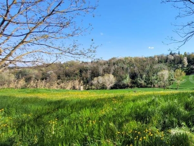 Terreno Agricolo in vendita a Coniolo cascine Frati