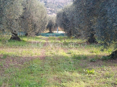 Terreno Agricolo in vendita a Cori via del Cavone, 4