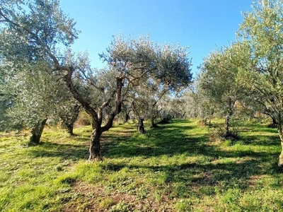 Terreno Agricolo in vendita a Costermano sul Garda