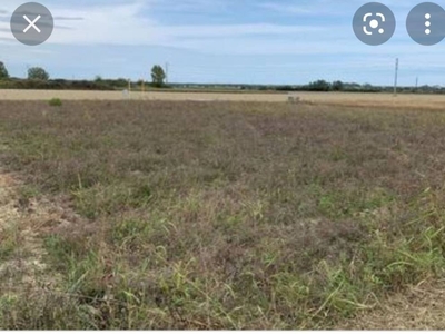 Terreno Agricolo in vendita a Crespina Lorenzana strada Provinciale Cugigliana Lorenzana