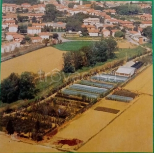 Terreno Agricolo in vendita a Crespina Lorenzana via Livornese