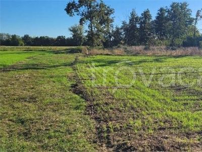 Terreno Agricolo in vendita a Cumiana via provinciale