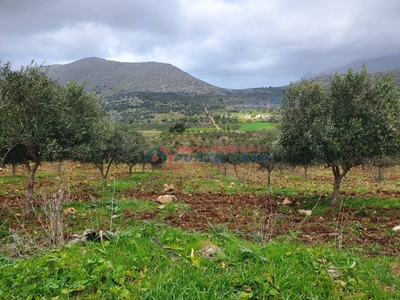 Terreno Agricolo in vendita a Custonaci via Purgatorio, 16