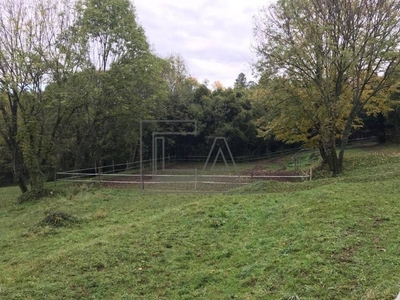 Terreno Agricolo in vendita a Ello via Massimo De Vecchi