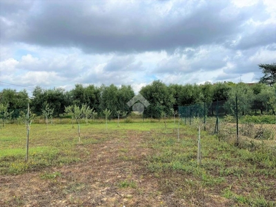 Terreno Agricolo in vendita a Empoli via Lucchese, 169