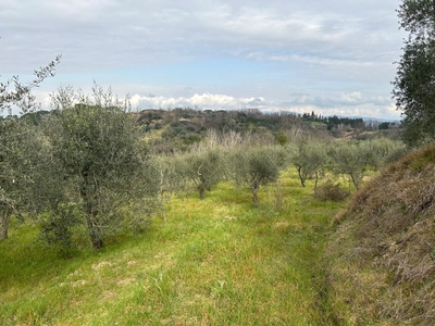 Terreno Agricolo in vendita a Empoli via Montepaldi