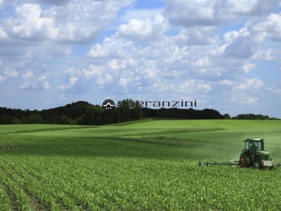 Terreno Agricolo in vendita a Fano strada comunale prelato ,