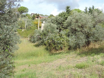 Terreno Agricolo in vendita a Fara in Sabina via Cagliari
