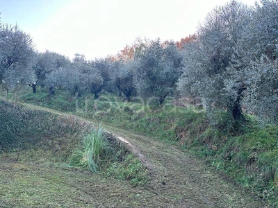 Terreno Agricolo in vendita a Ferentino via Casilina