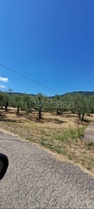 Terreno Agricolo in vendita a Figline e Incisa Valdarno località Castagneto