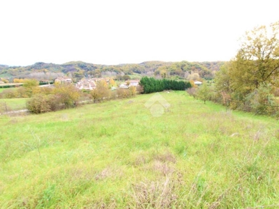 Terreno Agricolo in vendita a Figline e Incisa Valdarno via del Cesto, 36