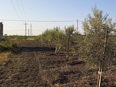 Terreno Agricolo in vendita a Foggia via Bari