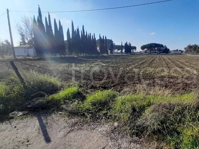 Terreno Agricolo in vendita a Foggia via Napoli, 120