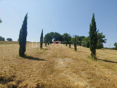 Terreno Agricolo in vendita a Foiano della Chiana via Fra' Benedetto Tiezzi, 44