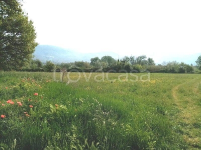 Terreno Agricolo in vendita a Foligno via Franco Santocchia