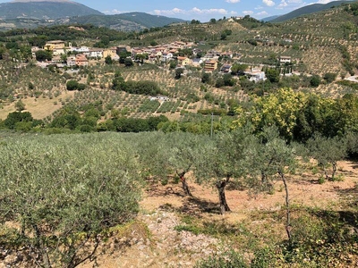 Terreno Agricolo in vendita a Foligno via Sassovivo