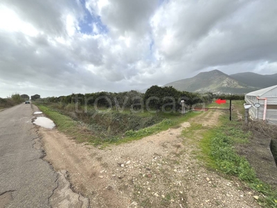 Terreno Agricolo in vendita a Fondi via Fosso di Lenola