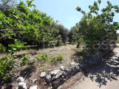 Terreno Agricolo in vendita a Fondi via Sant'Olivia