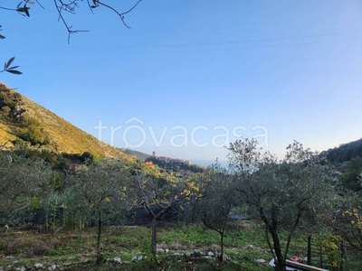 Terreno Agricolo in vendita a Formia strada Comunale della Montagna