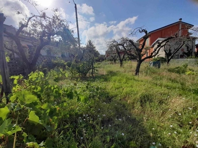 Terreno Agricolo in vendita a Fosdinovo