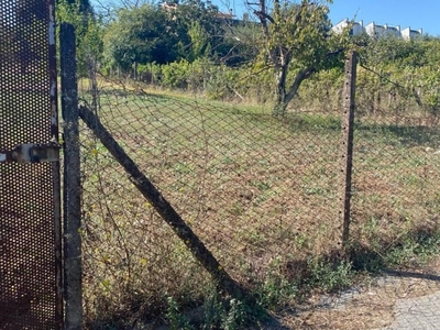 Terreno Agricolo in vendita a Frascati via Macchia dello Sterparo,