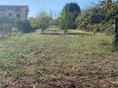 Terreno Agricolo in vendita a Frascati via Maccia dello Sterparo,