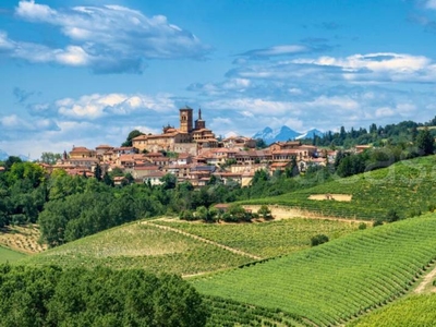 Terreno Agricolo in vendita a Fubine Monferrato regione Fugassa