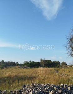 Terreno Agricolo in vendita a Galatone contrada Latronica