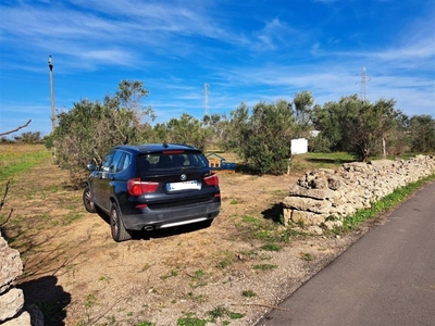 Terreno Agricolo in vendita a Gallipoli strada Vicinale Alessandro Nanni