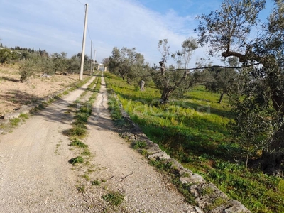 Terreno Agricolo in vendita a Gallipoli strada Vicinale Trappeto Rossi Colline