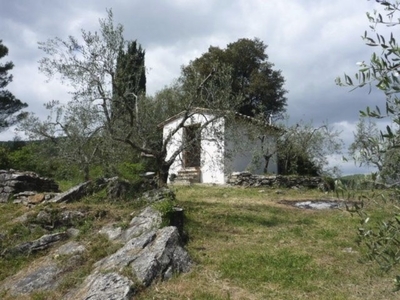 Terreno Agricolo in vendita a Gavorrano