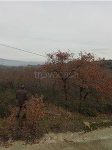 Terreno Agricolo in vendita a Giano dell'Umbria strada Statale dei Monti Martani