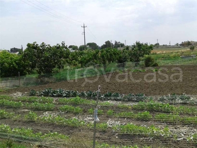 Terreno Agricolo in vendita a Gravina in Puglia strada Provinciale Tarantina