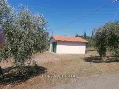 Terreno Agricolo in vendita a Grosseto