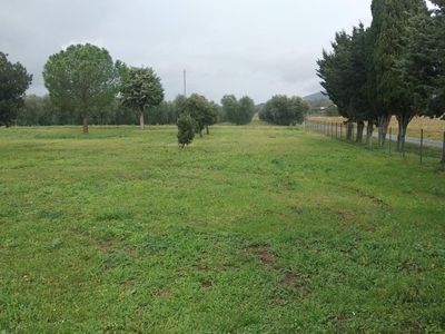 Terreno Agricolo in vendita a Grosseto grosseto, r