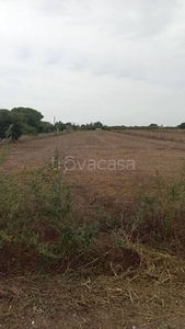 Terreno Agricolo in vendita a Grosseto via del Tiro a Segno