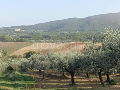 Terreno Agricolo in vendita a Gualdo Cattaneo via Colletino