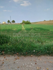Terreno Agricolo in vendita a Gualtieri via Giovanni Bigliardi, 15