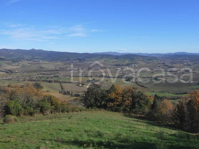 Terreno Agricolo in vendita a Guardistallo