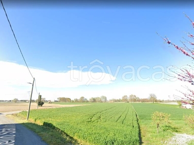 Terreno Agricolo in vendita a Guazzora via dello Statuto