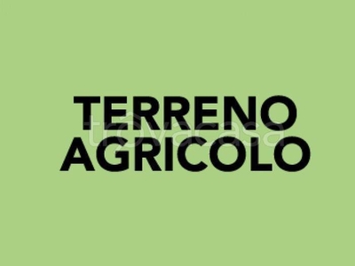 Terreno Agricolo in vendita a Gubbio località Palombaro