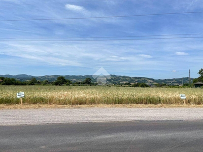 Terreno Agricolo in vendita a Gubbio via Paruccini, 1