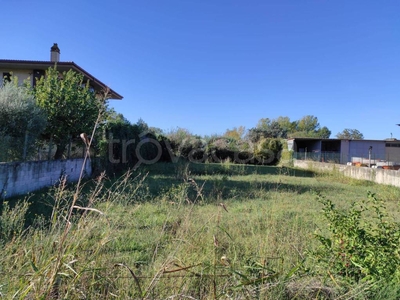 Terreno Agricolo in vendita a Guidonia Montecelio via Collechiaro, 2