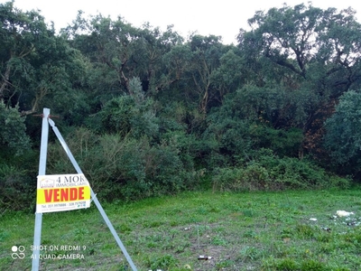 Terreno Agricolo in vendita a Iglesias iglesias Bingiargia