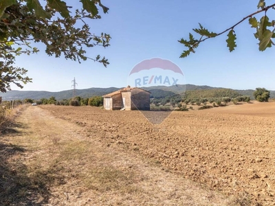 Terreno Agricolo in vendita a Ischia di Castro colli San Colombano