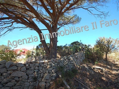 Terreno Agricolo in vendita a La Maddalena regione Punta Villa