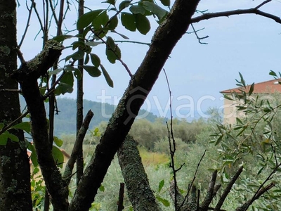 Terreno Agricolo in vendita a La Spezia via Martiri del Risorgimento, 19