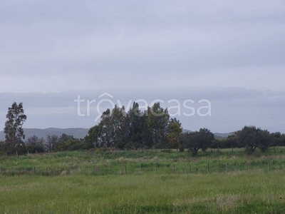 Terreno Agricolo in vendita a Ladispoli via della Cannella, 26