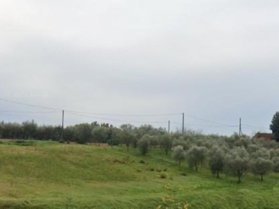 Terreno Agricolo in vendita a Lamporecchio lamporecchio