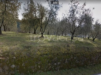 Terreno Agricolo in vendita a Lamporecchio via Orbignanese, 136